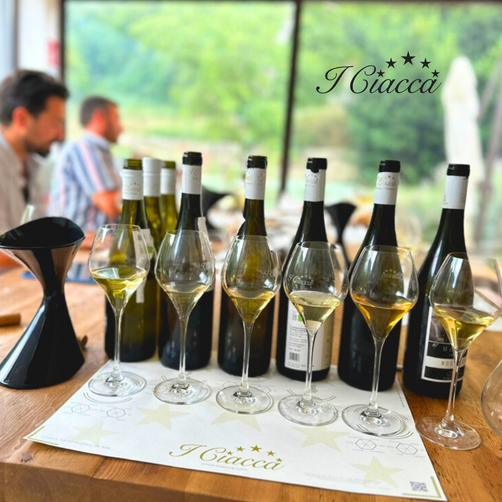 Winery Visit & Tour + Tasting Options