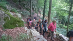 Suggested Walks